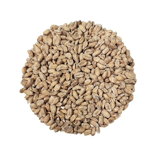 Wheat Malt | Whole Bag | Crisp | 25 kg