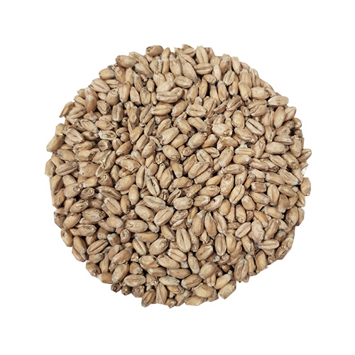 Wheat Blanc | Whole Bag | 25 kg