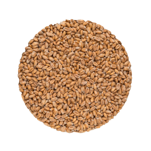 Wheat Malt | Helsäck | Bindewald | 25 kg | REA