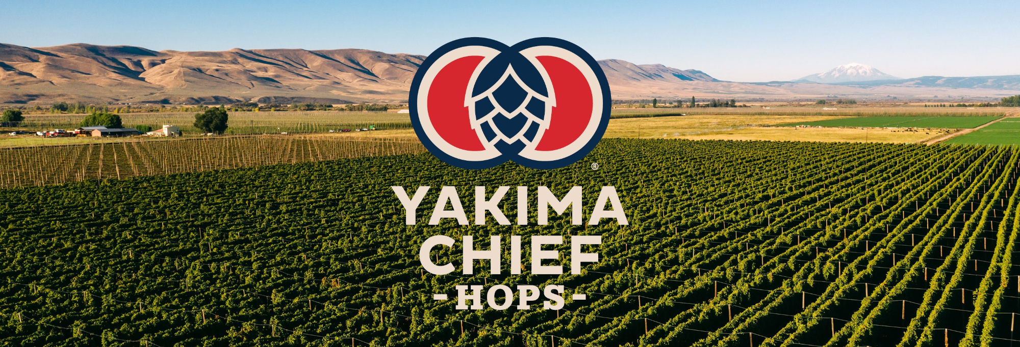 slider-image-https://maltmagnus.se/image/3762/Yakima-Chief-Hops-Banner-Varumarke.jpg