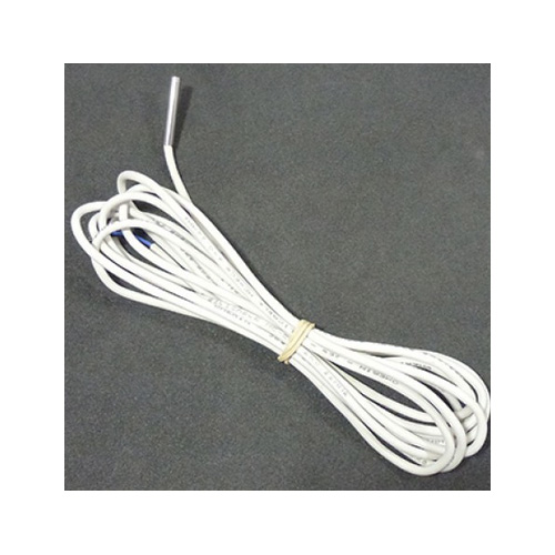 Temp Sensor Millenium Camurri Brauer