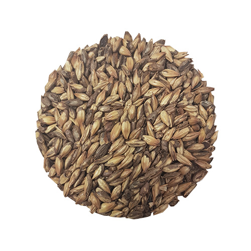 Extra Special Malt