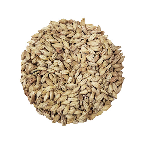Dark Munich Malt