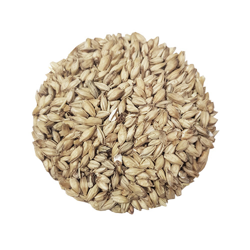 Viking Enzyme Malt