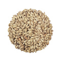 Viking Pale Ale Malt