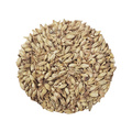 Viking Red Ale Malt