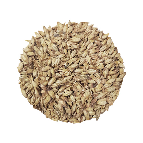 Viking Red Active Malt