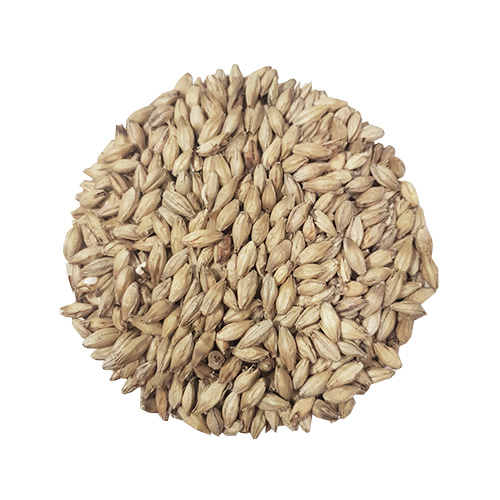Viking Vienna Malt