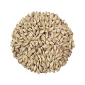 Viking Pilsner Malt Helsäck 25 kg
