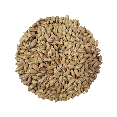 Amber Malt