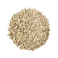 Cara Gold Malt Helsäck 25 kg