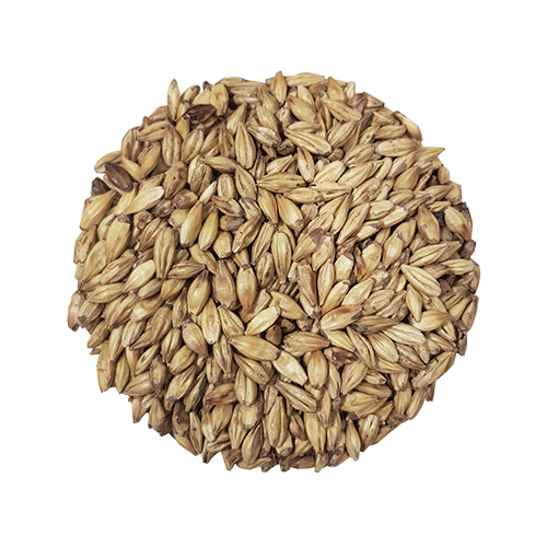 Cara Malt