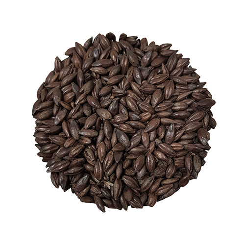 Chocolate Malt Crisp
