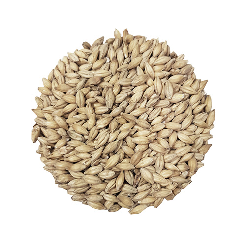 Extra Pale Malt