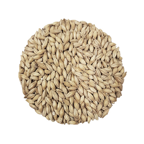 Maris Otter Ale Malt Helsäck 25 kg