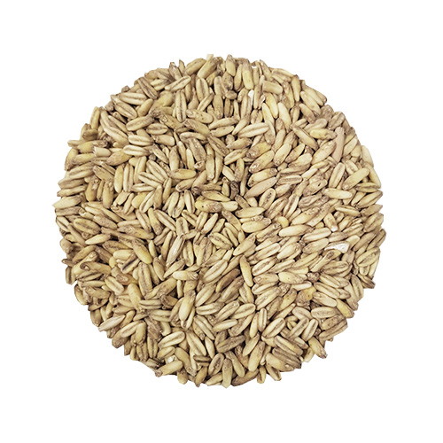 Naked Oat Malt
