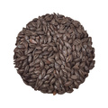 Roasted Barley | Whole Bag | Crisp | 25 kg
