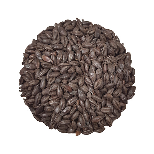 Roasted Barley | Crisp