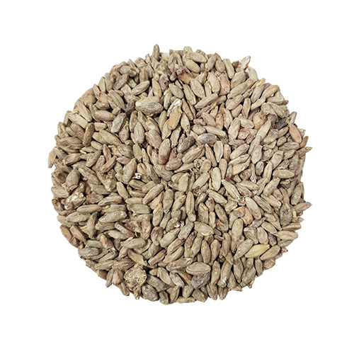 Rye Malt