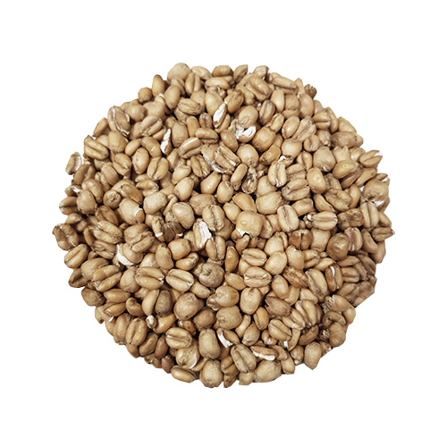 Torrefied Wheat