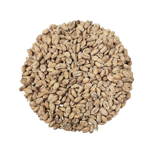 Wheat Malt Crisp