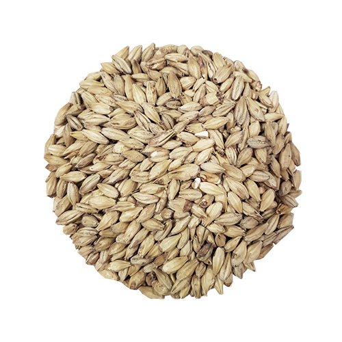 Pale Ale Helsäck Castle Malting 25 kg