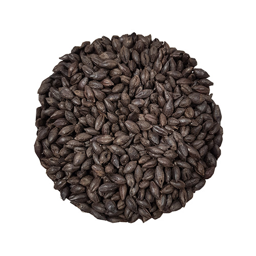 Viking Roasted Barley
