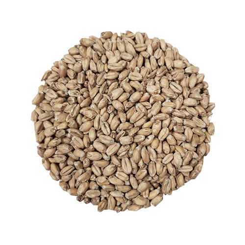 Wheat Blanc Whole Bag 25 kg