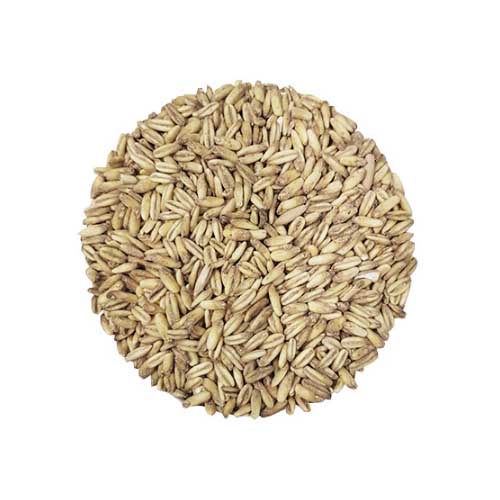 Viking Oat Malt