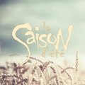Summer Saison 20 L T