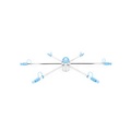 Sparge Manifold Medium B80 pro Brewtools
