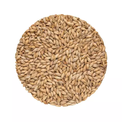 Munich Malt 25 Bindewald 10 kg