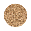 Munich Malt 25 Bindewald 10 kg
