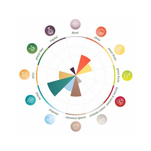 Bramling Cross Pellets 2024 100g