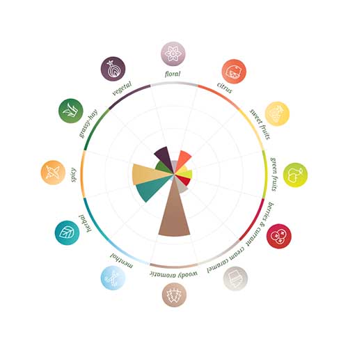 Fuggle Pellets 2025 100g