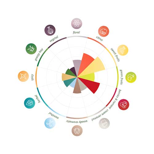 Vic Secret Pellets 2025 100g