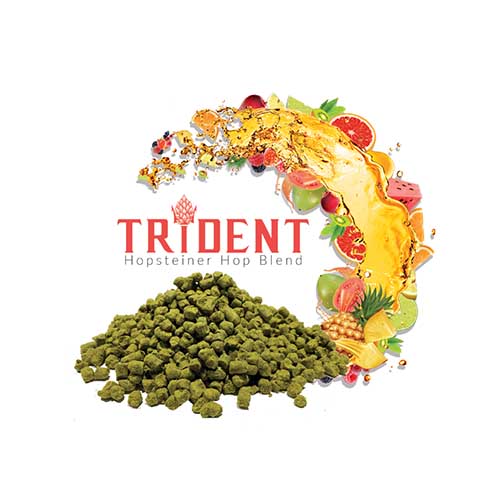 Trident Pellets 2023 5 kg