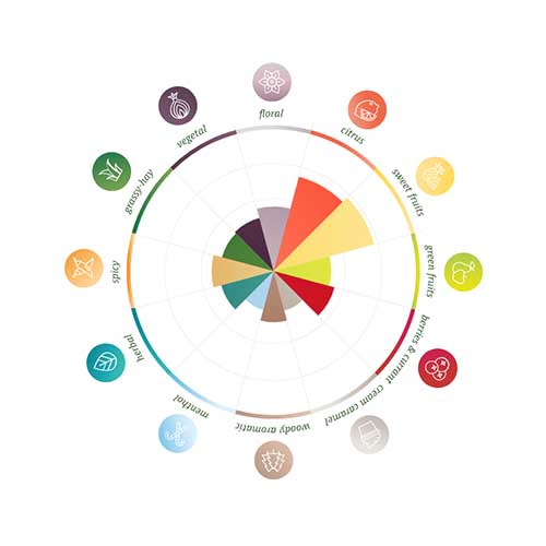 Amarillo Pellets 2025