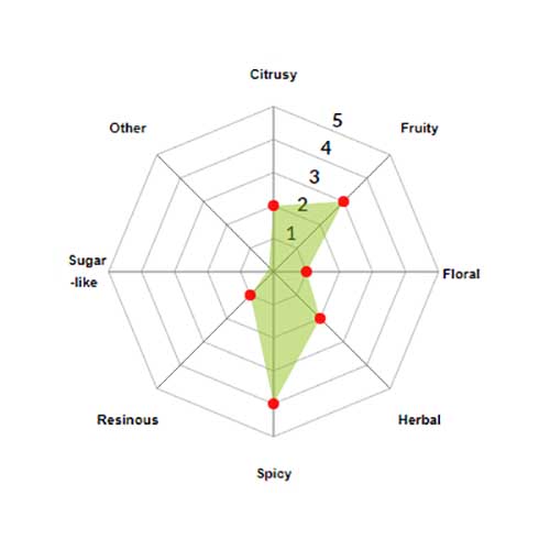 Magnum Pellets 2024 100g