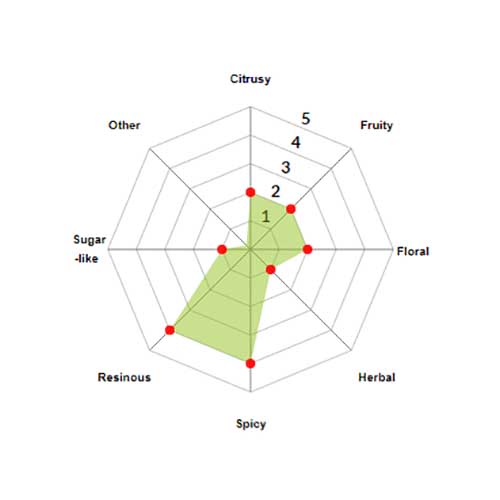 Saaz Pellets 2024 5kg