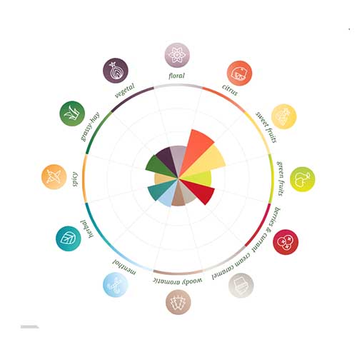 Eclipse Pellets 2023