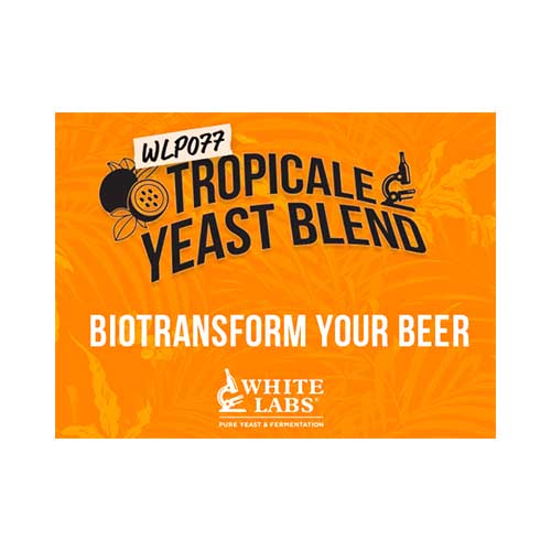 Tropicale Yeast Blend WLP077 Organic