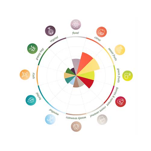 Callista Pellets 2025