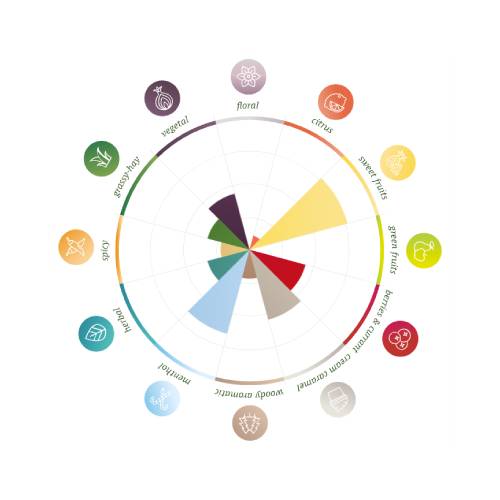 Challenger Pellets 2023