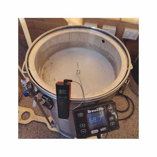 RAPT Bluetooth Thermometer