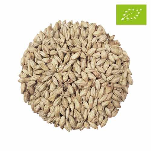 Organic Viking Pilsner Malt Whole Bag 25 kg