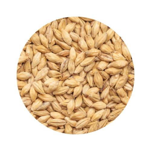 BEST Vienna Whole Pallet 80 kg