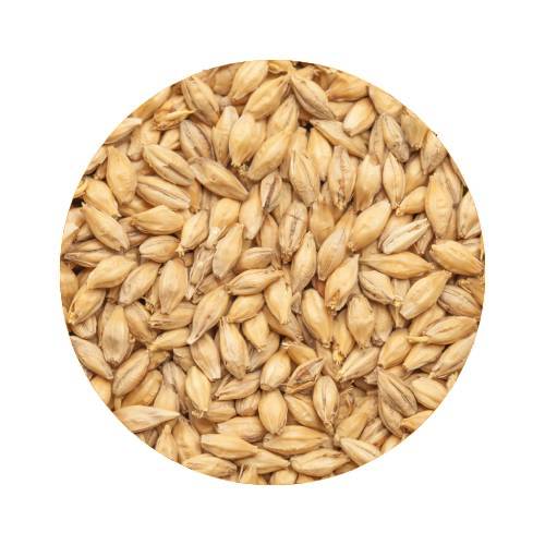 BEST Pilsen Malt  Helpall 800 kg
