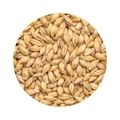 BEST Pilsen Malt  Helpall 800 kg
