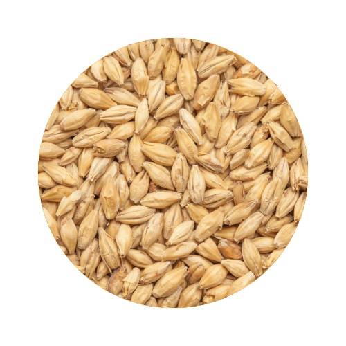 BEST Pale Ale Whole Pallet 800 kg